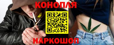 шишки Дубна