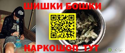 шишки Дубна