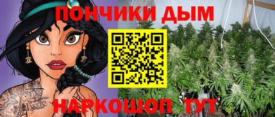 шишки Дубна