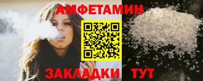 шишки Дубна