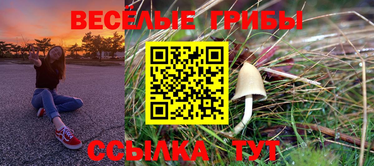 Магадан  купить наркотик  Вход с VPN  Псилоцибиновые грибы MAGIC MUSHROOMS 